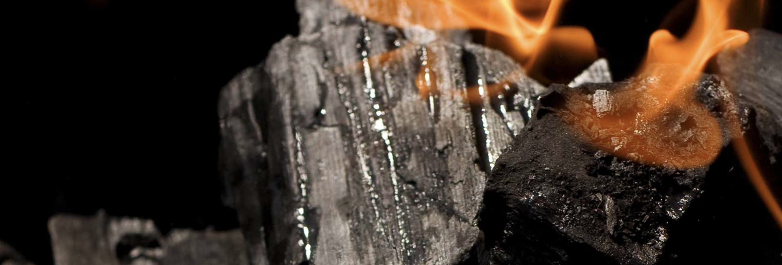 SECUNDA COAL & PETROCHEMICAL EXPO