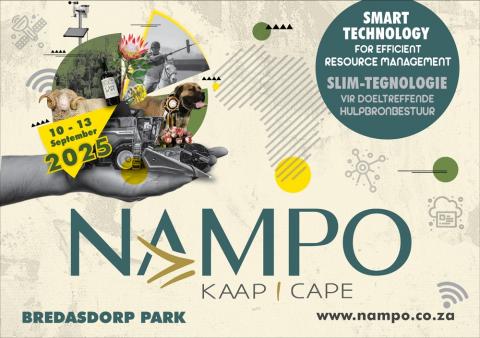 nampo_image